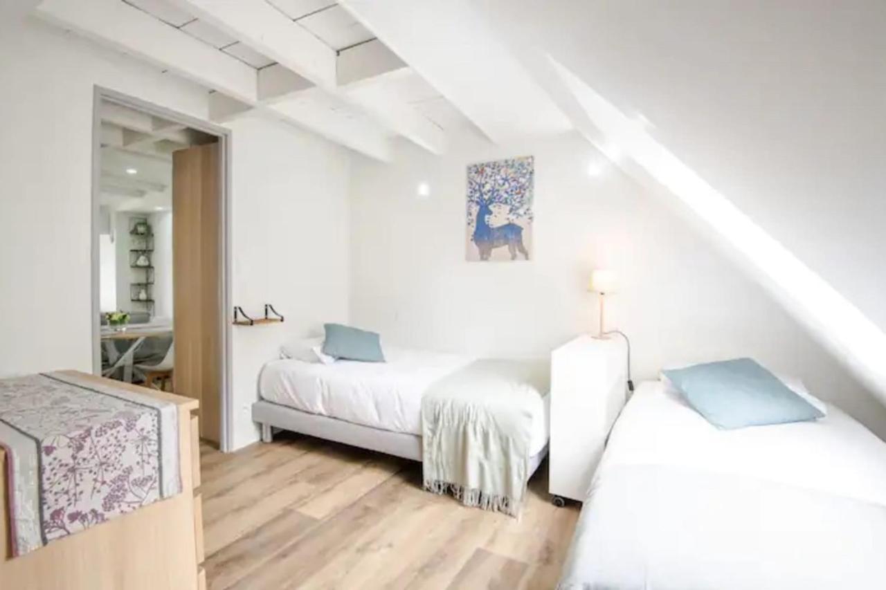 Comfortable Air-Conditioned T3 In The Heart Of Amboise With Parking Space Exterior foto